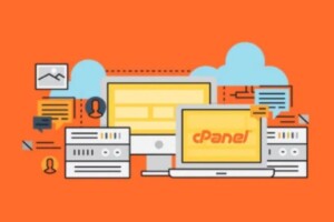 Cara Mengurangi Disk Space Usage di cPanel dengan Mudah