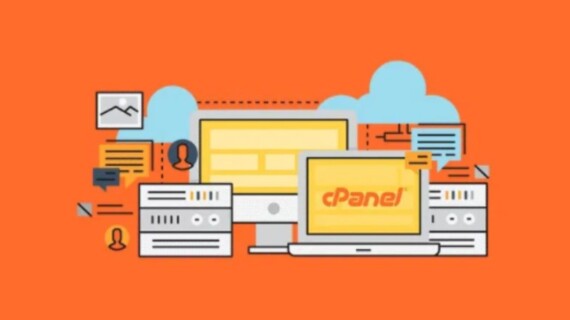 Cara Mengurangi Disk Space Usage di cPanel dengan Mudah