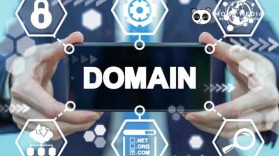 Perbedaan Domain .COM dan .CO.ID: Pakai yang Mana Ya?