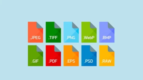 Tips Memilih Format Gambar yang Tepat untuk Website Anda
