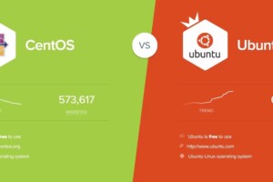 Inilah Perbedaan antara Ubuntu Server dan CentOS