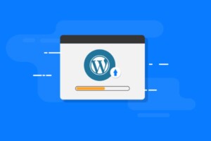 Inilah Cara Update WordPress