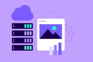Choosing the Right Hosting for Beginners